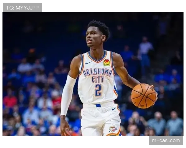 芝加哥天空交易里斯后彻底重建，新赛季目标培养年轻球员